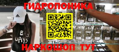 прущие грибы Ирбит