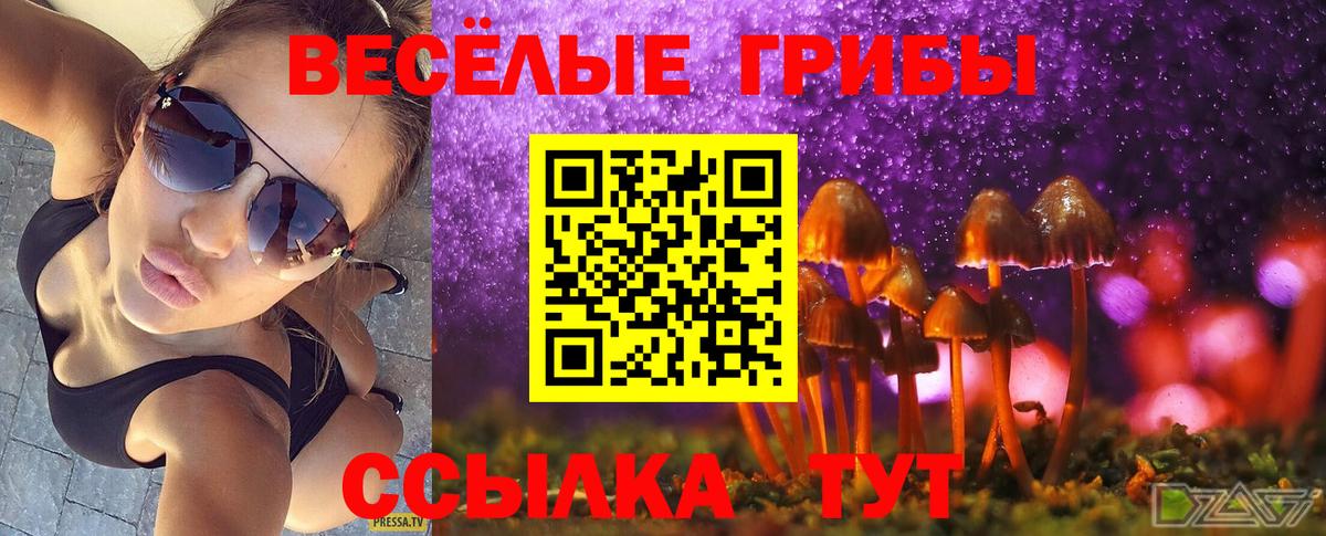 Галлюциногенные грибы Cubensis Кушва